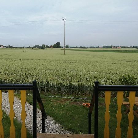 Vila Roulotte Et Jacuzzi De Rachel Au Domaine Du Reuze Winnezeele Exteriér fotografie